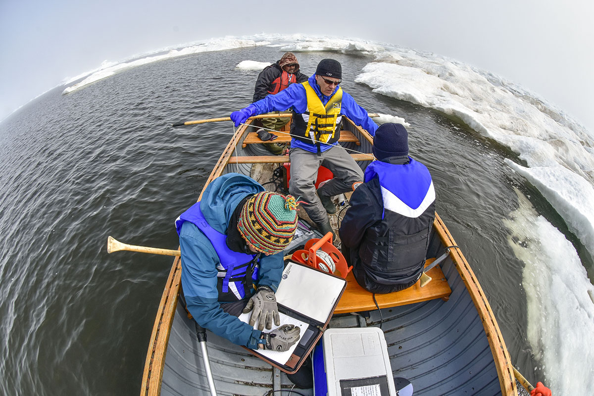 sentinelle nord IPS arctic microbiomes 2019